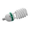 Compact Fluorescent Photo Bulb